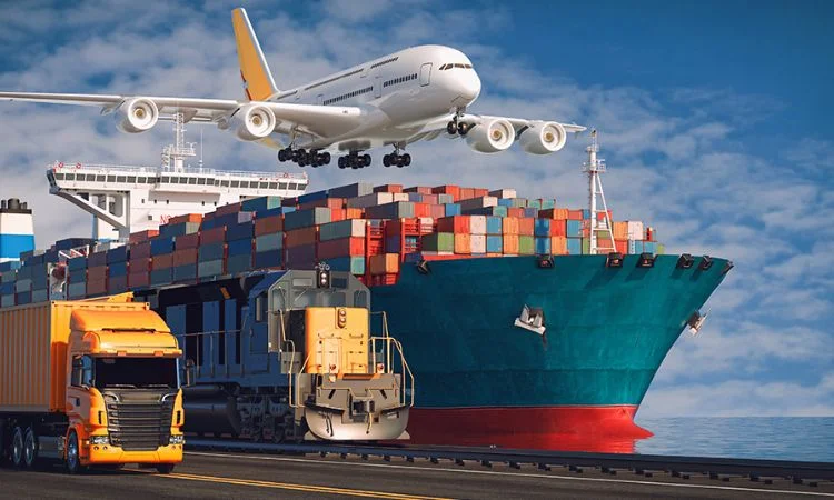 Import-Export-Business
